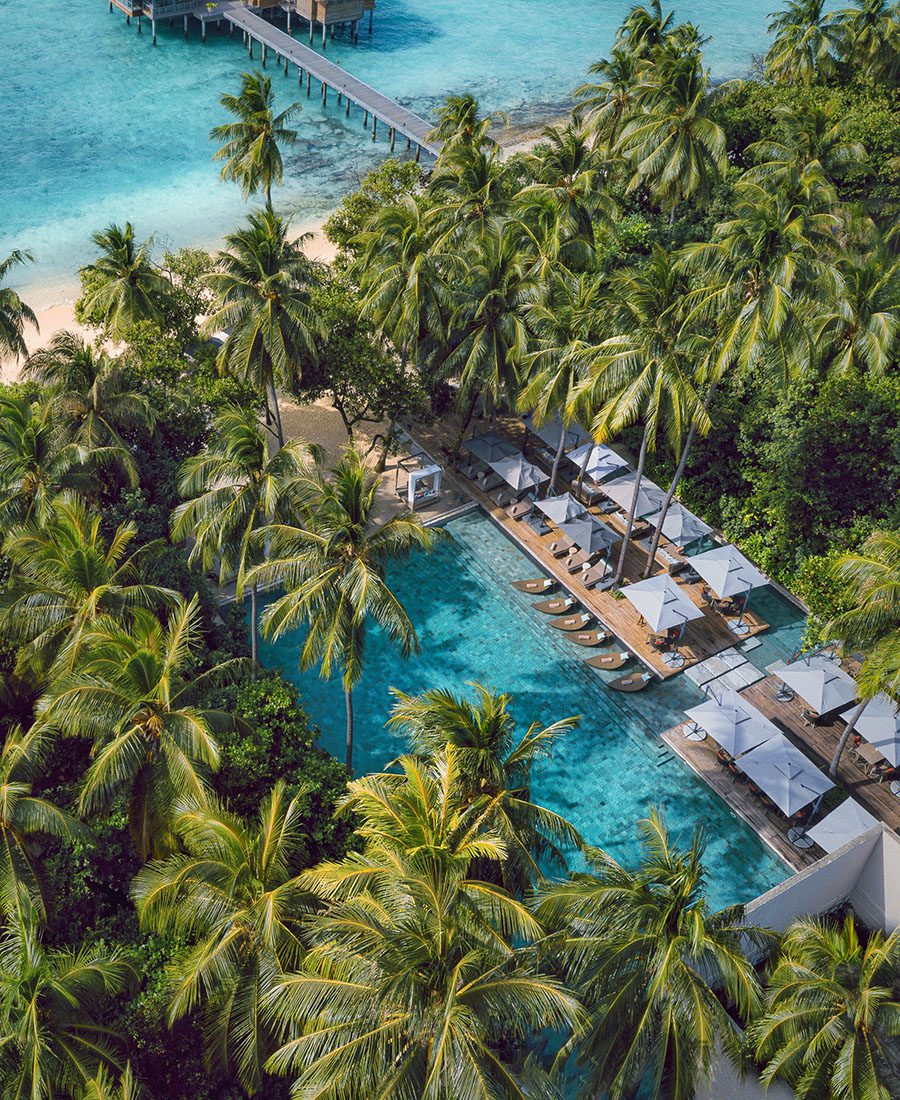 Hlavní bazén lemovaný palmami na Vakkaru Maldives