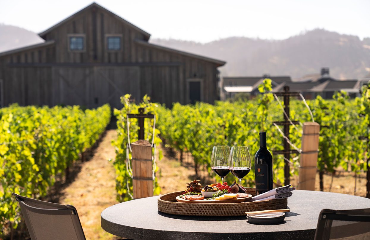 Venkovní piknik na vinici ve Four Seasons Resort Napa Valley